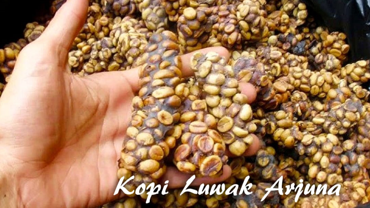 Kebun Arjuna_0001_Foto produk Arjuna Fresh 3