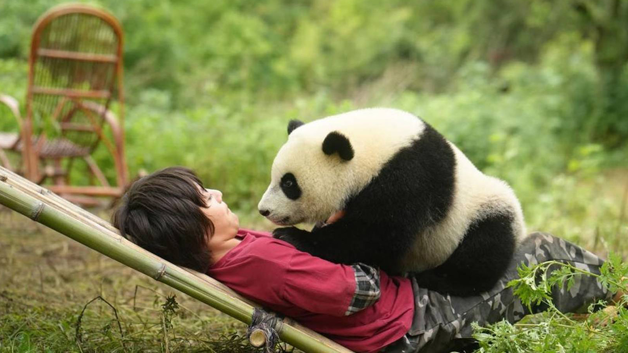 FSP25_Web_Banner_0019_Moon le Panda 2